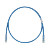 Cable de Parcheo TX6, UTP Cat6, 24 AWG, LSZH, Color Azul, 3 Metros